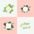 Set of Monstera Tropical Leaves Fashion Signs or Logo Templates. Abstract Foliage with Golden Borders and Classy