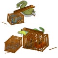 Set of moray eels caught in the wooden cage isolated on white background. Vector cartoon close-up illustration.