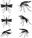 Set mosquitoes Royalty Free Stock Photo