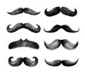 Set of moustaches. Hand drawn black mustache for barbershop or mustache carnival. Freehand drawing. Vector illustration. Isolated