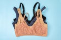 Set of multi-colored lace push-up bras. Glamorous brassieres variety. Top view