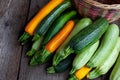 A set of multi-colored zucchini yellow, green, white, orange on the table close-up. Food background. Fresh harvested Royalty Free Stock Photo