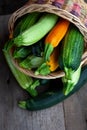 A set of multi-colored zucchini yellow, green, white, orange on the table close-up. Food background. Fresh harvested Royalty Free Stock Photo