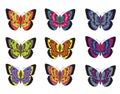 Set of multicolored butterflies on a white background, a collection of butterflies. Vector illustration.