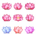 Set of multicolored lotuses