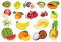 Set of multicolored ripe exotic and tropical fruits. Vector illustration.