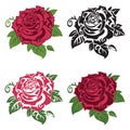 Set of multicolored roses Royalty Free Stock Photo