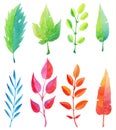 Set of multicolored watercolor leaves