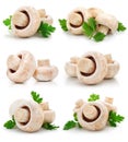 Set of mushroom champignon fruits isolated Royalty Free Stock Photo