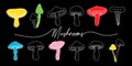 Set of mushroom icons. Black mushrooms outline banner. Different mushrooms line symbols. Chanterelle, amanita muscaria Royalty Free Stock Photo