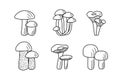 Set of mushroom icons vector. Illustration of boletus, chanterelles, honey mushrooms, champignons, aspen mushroom and russula Royalty Free Stock Photo