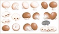 Set of mushroom illustration in various style, vector format