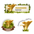 Set of mushroom vector banner, badge, sticker, icon with chanterelles Royalty Free Stock Photo