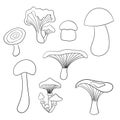 Set with mushrooms, coloring page