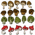Set of mushrooms in doodle style, different types of mushroom hat boletus