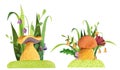 Set of mushrooms with grass, flowers, butterfly, leaves.