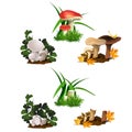 Set of mushrooms isolated on white background. Cut and whole edible wild forest mushrooms. Sketch for a poster on theme