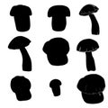 Set of mushrooms. silhouettes. Black color