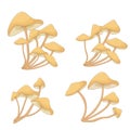 Set of mushrooms toadstools. forest plants, mushrooms Royalty Free Stock Photo