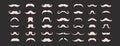 Set Mustache Collection. Vector illustration. Vector Template Design. Party. Dad