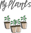 Set of my plants with potted plant. Royalty Free Stock Photo