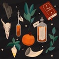 A set of mystical and magical elements. Vector illustration. Items for fortune telling and magic. Potions, Skull, Pumpkin, Royalty Free Stock Photo