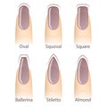 Set of nails shapes