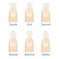 Set of nails shapes