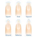 Set of nails shapes