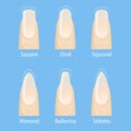 Set of nails shapes