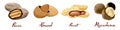 Set of named vector icons nuts and seeds. Nutrition and agriculture concept. Walnut, coconut, nutmeg, hazelnut.