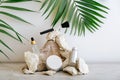 Set natural beauty cosmetic skincare products makeup brush with palm leaves plant on stone pedestal, rock pile balancing