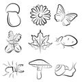 Set of natural elements. Vector illustration of plants and forest animals.