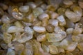 Set of natural mineral gemstones as little pebbles Royalty Free Stock Photo