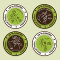 Set of Natural Organic Product badges