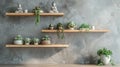 A set of natural wood shelves line the walls displaying various succulents and small Buddha statues. The simple yet