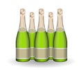 Set of naturalistic champagne green bottle with labels. Vector i Royalty Free Stock Photo