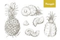 Set of naturalistic drawings of whole and cut pineapples and its slices isolated on white background. Bundle of exotic