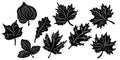 set of naturalistic leaf silhouettes vector eco Royalty Free Stock Photo