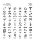 Set of nature icons in modern thin line style. Royalty Free Stock Photo