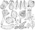 Set of nature mediterranean vegetables. Fresh organic food. Vegetables vintage Hand-drawn sketch. Black and white Royalty Free Stock Photo