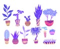 Set of neon cartoon home flowers in pots with decorations. Objects separate from the background Royalty Free Stock Photo