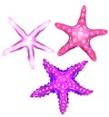 Set of neon cartoon illustrations of starfishes. The object is separate from the background. Royalty Free Stock Photo