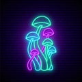 Set of neon colorful mushrooms. Royalty Free Stock Photo