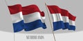 Set of Netherlands waving flag on isolated background vector illustration