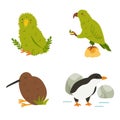 Set of New Zealand birds kea, kakapo, kiwi penguin