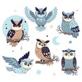 Set of night owls isolated on white background. Vector graphics