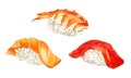 Set of nigiri sushi with with tuna, salmon and tiger shrimp, isolated on white background, watercolor Royalty Free Stock Photo