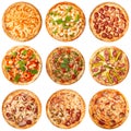 Set of nine different kind of pizza
