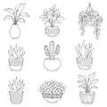 A set of nine drawings of potted plants, including cacti and succulents Royalty Free Stock Photo